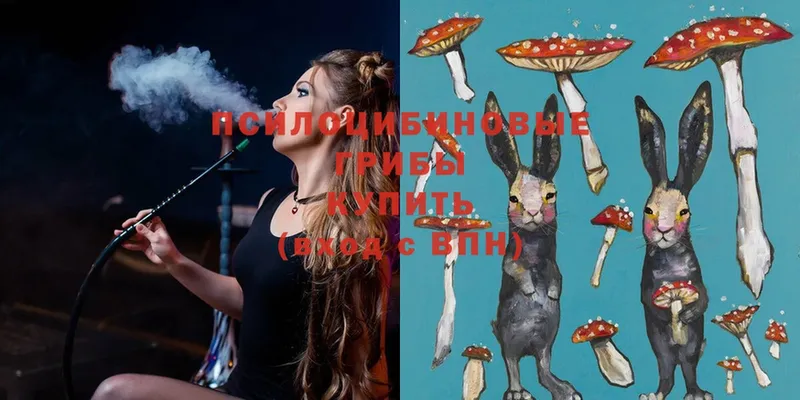 Галлюциногенные грибы MAGIC MUSHROOMS  как найти закладки  Бавлы 